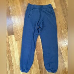 Aerie Offline Blue Joggers